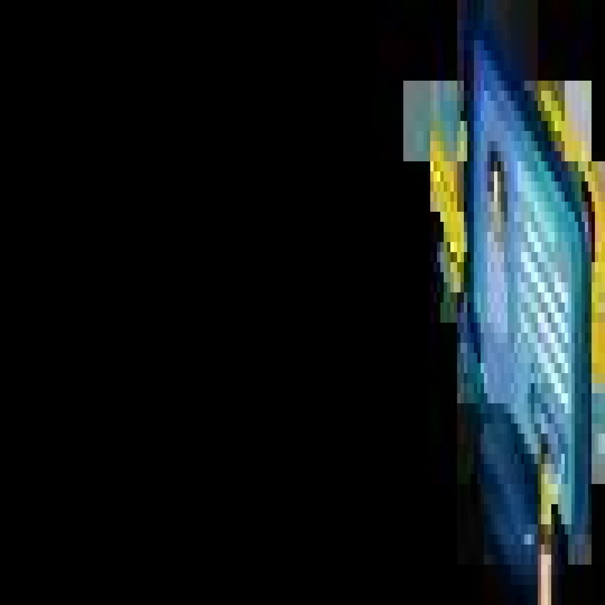 HTML